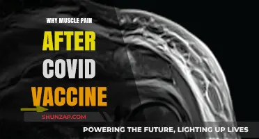 Understanding Post-COVID Vaccine Muscle Pain: Causes and Relief Strategies