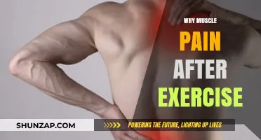 Understanding Post-Workout Muscle Pain: Causes and Effective Recovery Tips