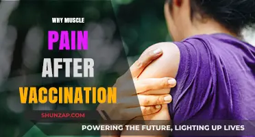 Understanding Post-Vaccination Muscle Pain: Causes and Relief Explained