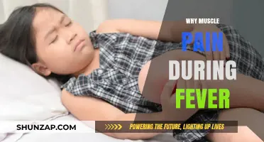 Understanding Muscle Pain During Fever: Causes and Relief Explained