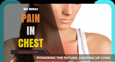Understanding Chest Muscle Pain: Causes, Symptoms, and When to Seek Help