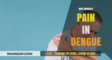 Understanding Muscle Pain in Dengue: Causes and Relief Strategies