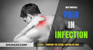 Understanding the Link Between Infections and Muscle Pain: Causes Explained