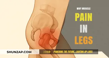Understanding Leg Muscle Pain: Causes, Prevention, and Effective Relief Strategies