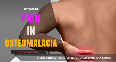 Understanding Muscle Pain in Osteomalacia: Causes and Relief Strategies
