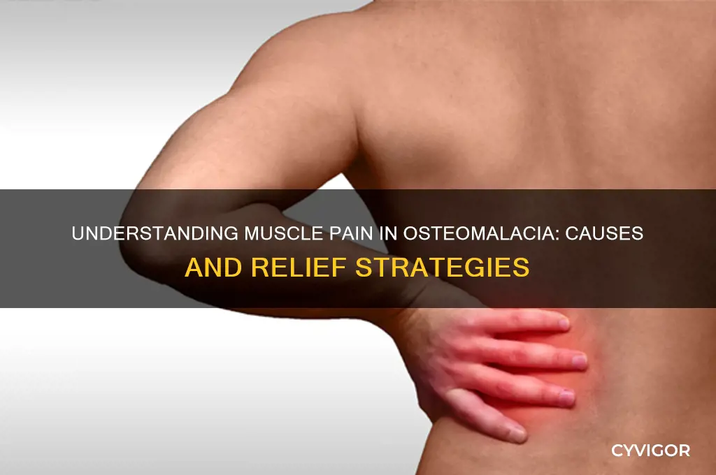 why muscle pain in osteomalacia