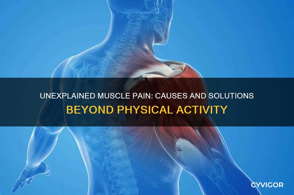 why muscle pain without exercise
