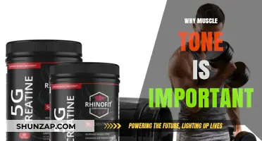 Building Muscle Tone: Benefits and Importance