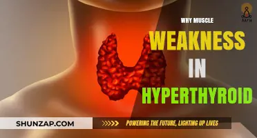 Hyperthyroidism: Muscle Weakness and Fatigue Explained