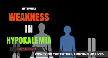Muscle Weakness and Hypokalemia: What's the Link?