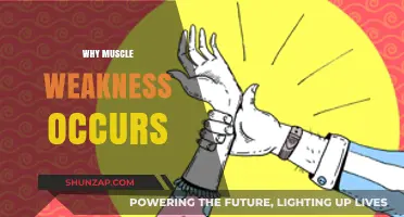 Muscle Weakness: Understanding the Root Cause