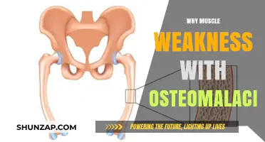 Muscle Weakness and Osteomalacia: Understanding the Connection