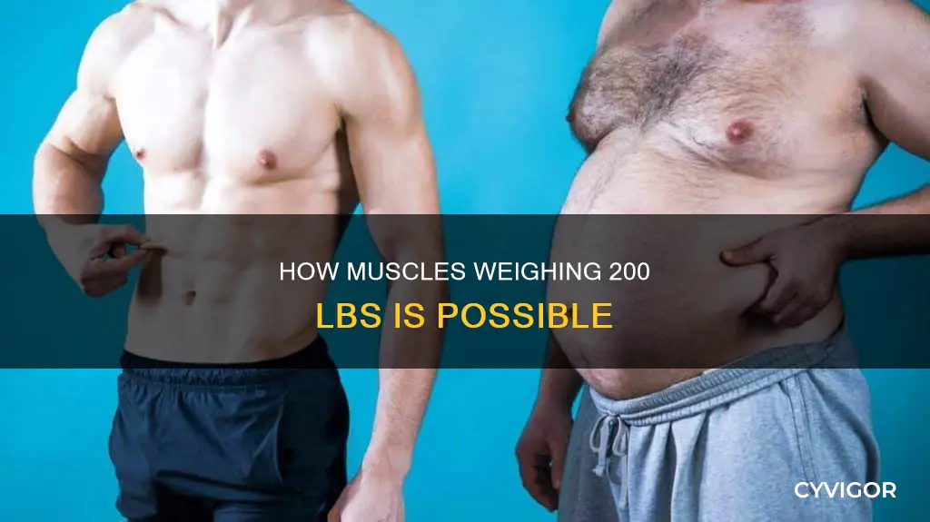 why muscled weigh 200 lb