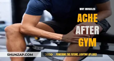 Understanding Muscle Aches After a Workout