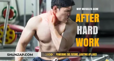 Understanding Muscle Soreness: Why Hard Work Leads to Aching Muscles