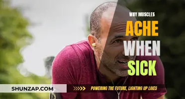 Muscle Aches and Illness: Understanding the Connection