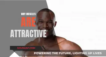Muscles: The Ultimate Attraction Formula for Humans
