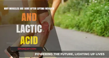 Muscle Soreness Explained: Lactic Acid's Role After Weight Lifting