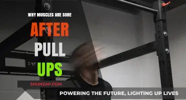 Why Pull-Ups Cause Muscle Soreness: Understanding Post-Workout Pain