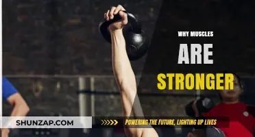 Muscle Strength: Unlocking the Power of Human Body