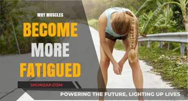 Muscle Fatigue: Understanding the Underlying Reasons