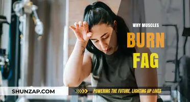 Muscle Burn: Why Does It Happen?