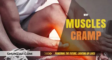Unraveling the Mystery: Why Muscles Cramp and How to Prevent It