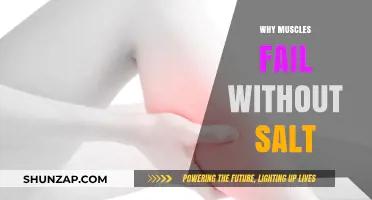 Salt: The Secret to Muscle Success