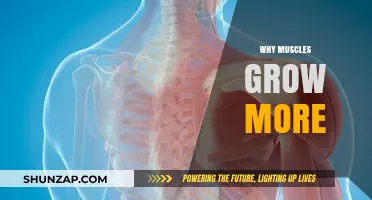 Unlocking Muscle Growth: Science-Backed Strategies for Bigger, Stronger Muscles