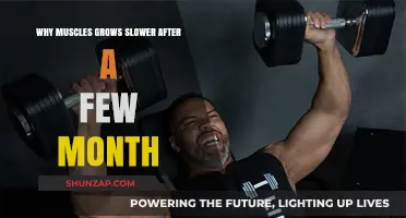 Why Muscle Growth Slows Down After Initial Months: Unlocking the Plateau