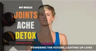 Muscle and Joint Pain: Detoxing Your Body