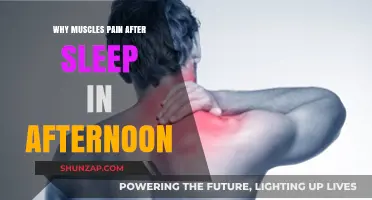 Afternoon Sleep Muscle Pain: Causes and Remedies Explained
