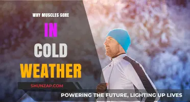 Cold Weather Muscle Soreness: Causes and Prevention Strategies Explained