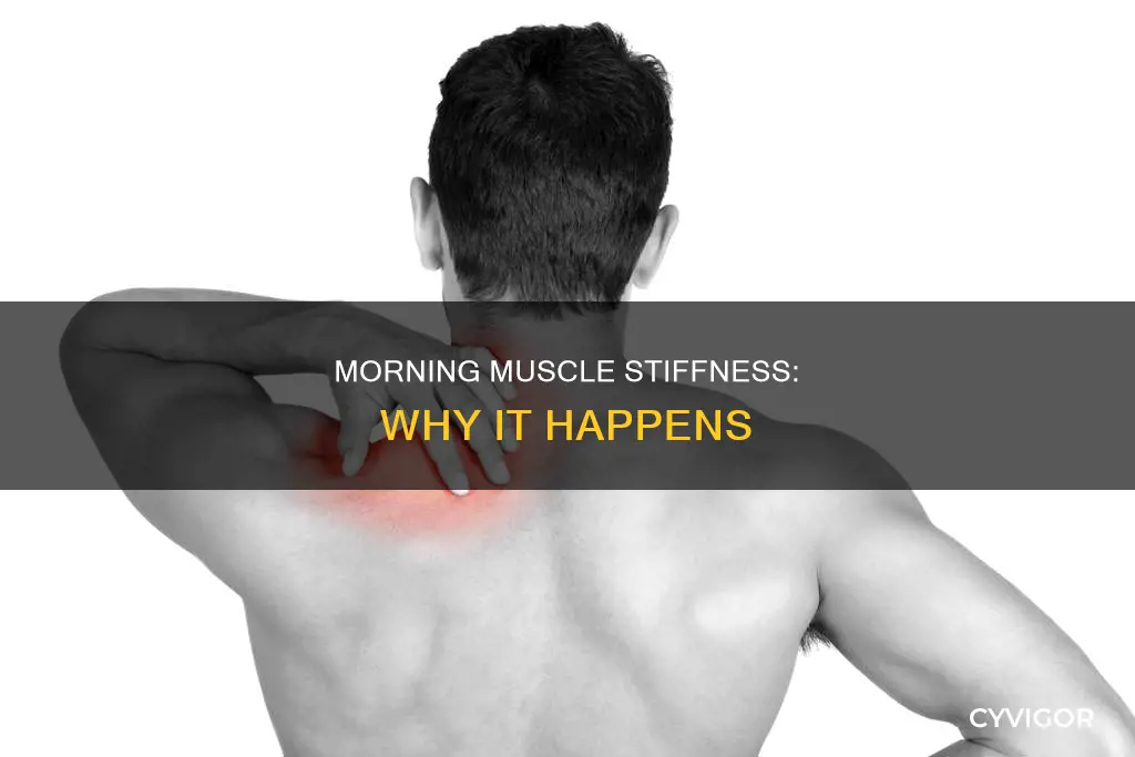 why muscles stiff in morning