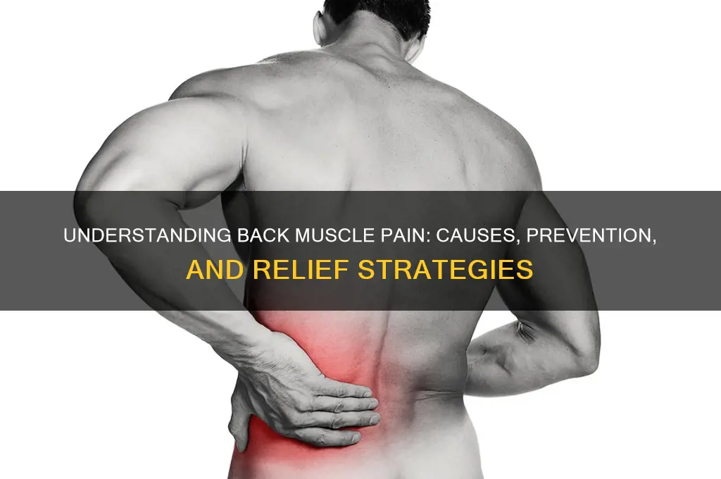 why my back muscles are paining