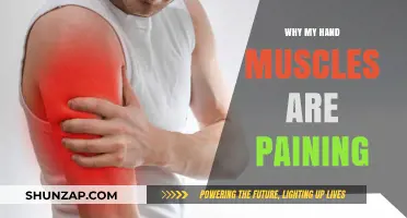 Hand Muscle Pain: Causes, Remedies, and Prevention Tips Explained