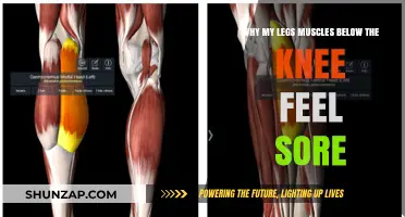Sore Calf Muscles: Causes, Remedies, and Prevention Tips Explained