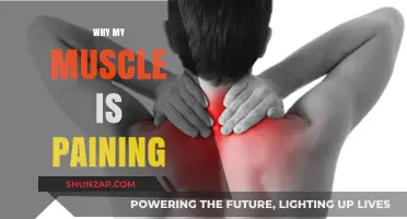 Understanding Muscle Pain: Causes, Remedies, and Prevention Tips