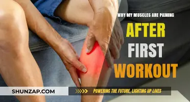 Post-Workout Muscle Soreness: Understanding Delayed Onset Muscle Pain