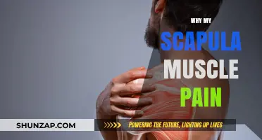 Understanding Scapula Muscle Pain: Causes, Symptoms, and Effective Relief Strategies