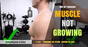 Unlocking Shoulder Growth: Why Your Muscles Aren't Developing