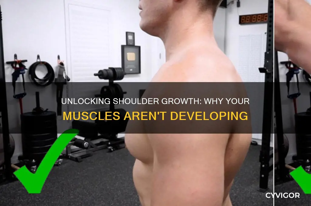 why my shoulder muscle not growing
