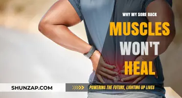 Persistent Back Pain: Uncovering Why Sore Muscles Refuse to Heal