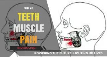 Understanding Teeth and Muscle Pain: Causes, Symptoms, and Relief Tips