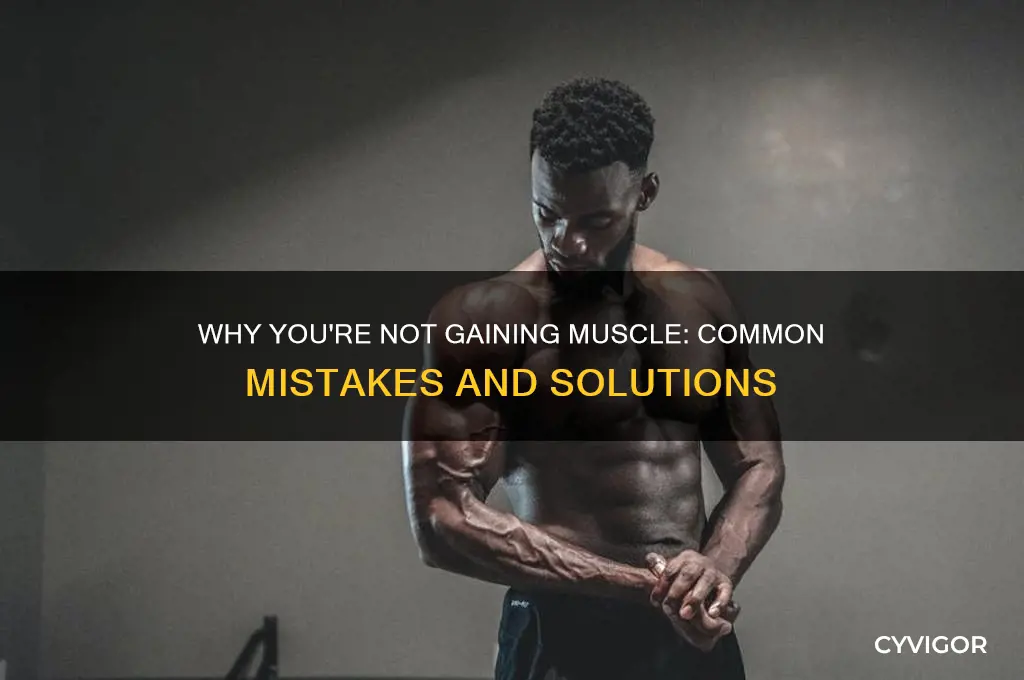 why not gaining muscle