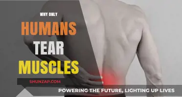 Tearing Muscles: A Human-Only Phenomenon?