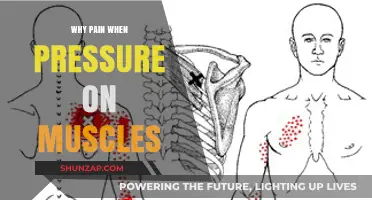 Understanding Muscle Pain: Causes of Pressure-Induced Discomfort Explained