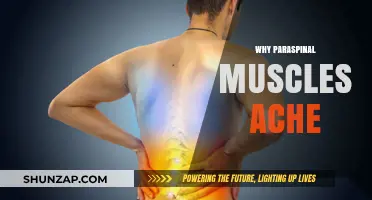 Understanding Paraspinal Muscle Aches: Causes and Solutions