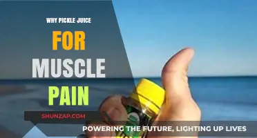 Pickle Juice for Muscle Pain: The Surprising Recovery Secret