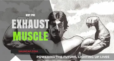 Pre-Exhausting Muscles: The Secret to Better Results